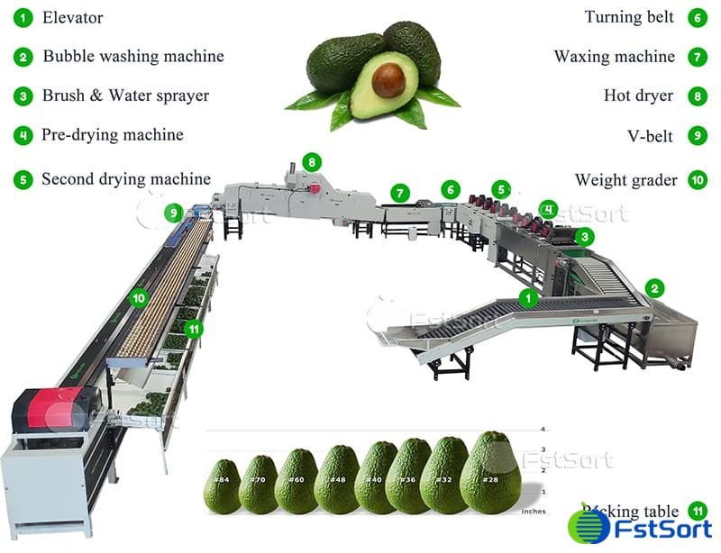 images/1740640337841avocado processing machine.jpg